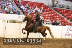 19BUCK_03534 proof
