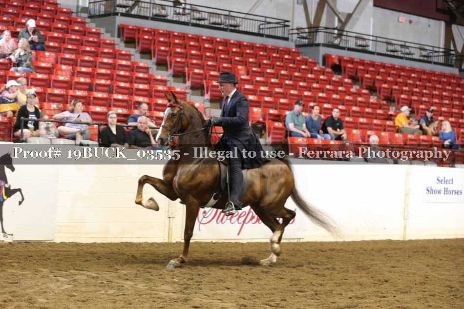 Proof 19BUCK_03535