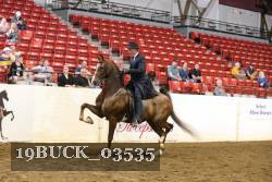 19BUCK_03535 proof