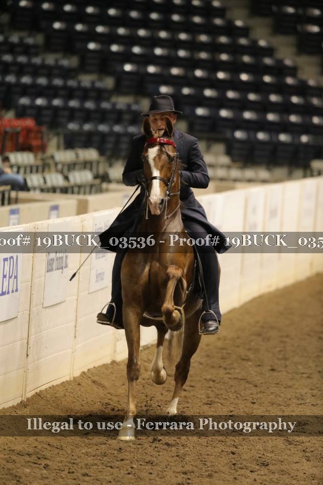 Proof 19BUCK_03536