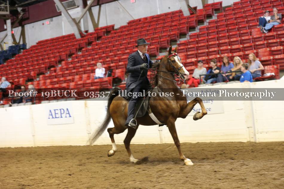 Proof 19BUCK_03537
