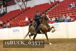19BUCK_03537 proof