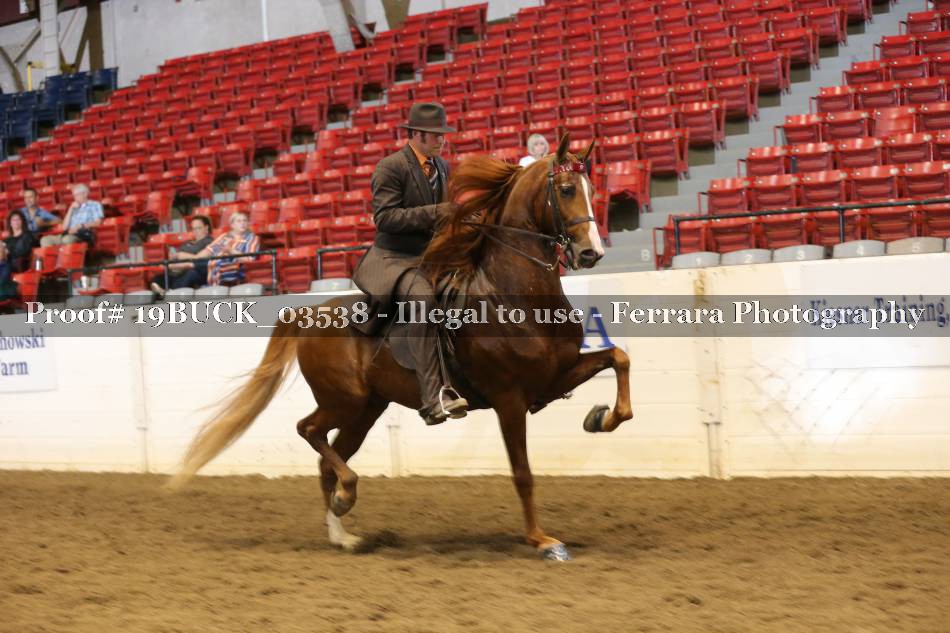 Proof 19BUCK_03538
