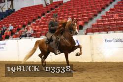19BUCK_03538 proof