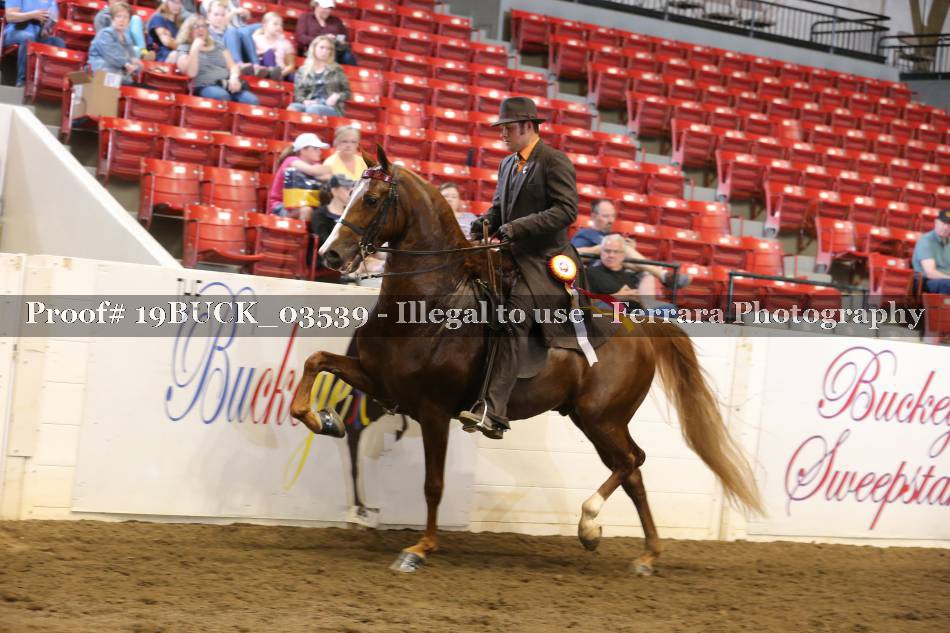 Proof 19BUCK_03539