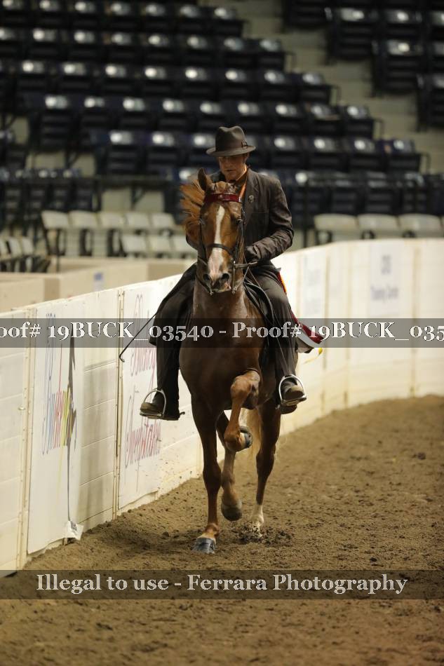 Proof 19BUCK_03540