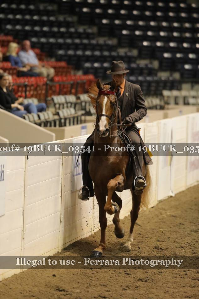 Proof 19BUCK_03541
