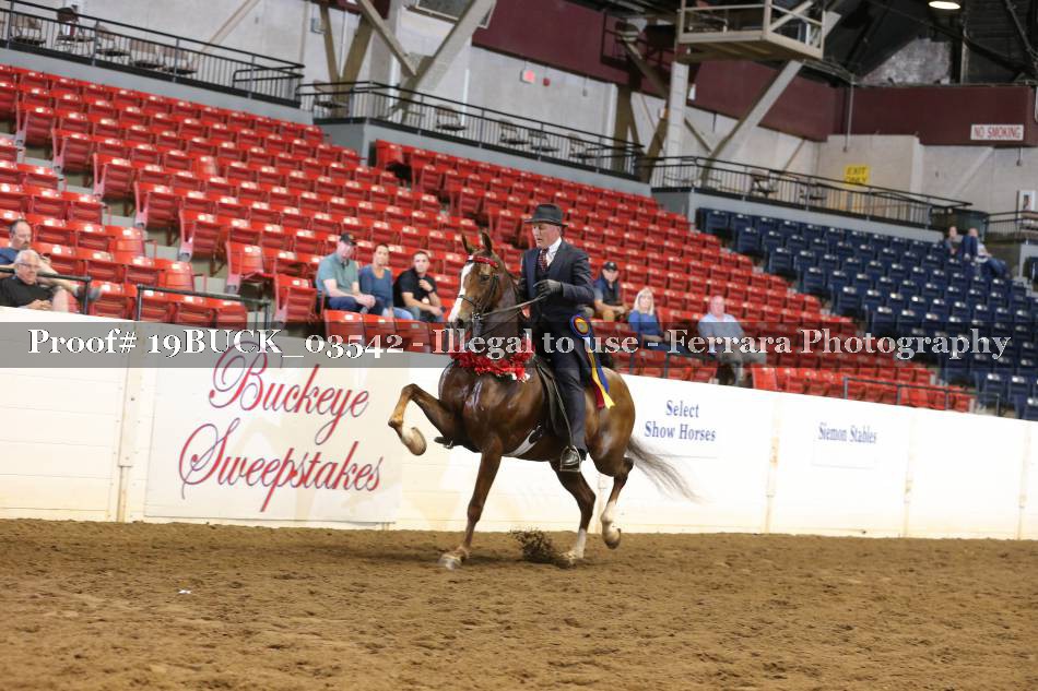 Proof 19BUCK_03542