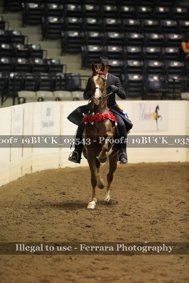 Proof 19BUCK_03543