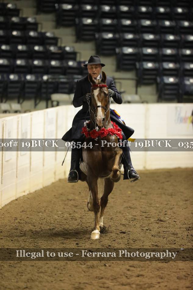 Proof 19BUCK_03544