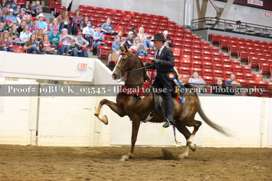 Proof 19BUCK_03545