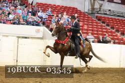 19BUCK_03545 proof