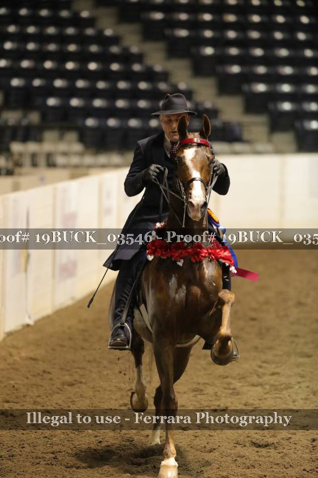 Proof 19BUCK_03546