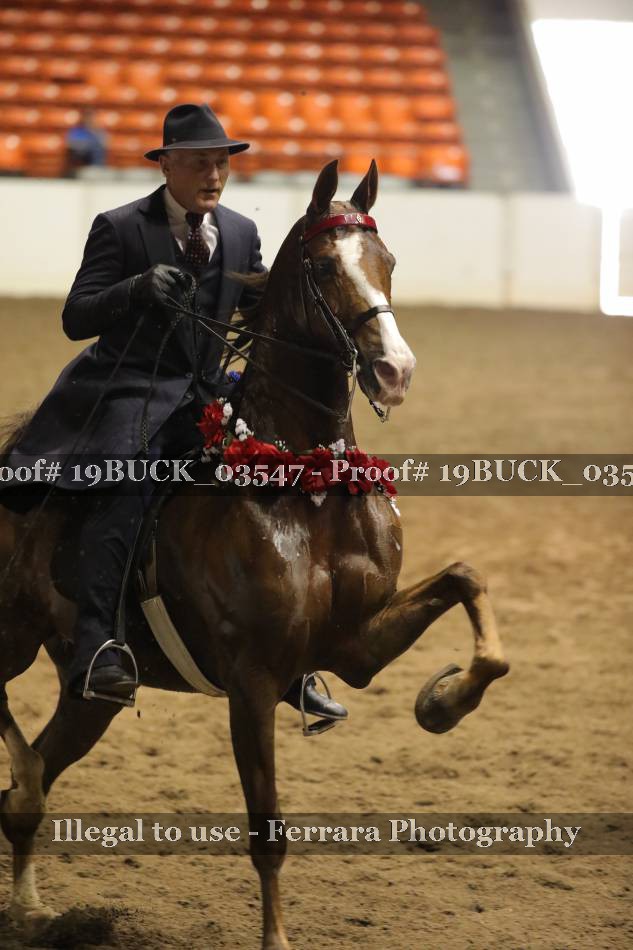 Proof 19BUCK_03547