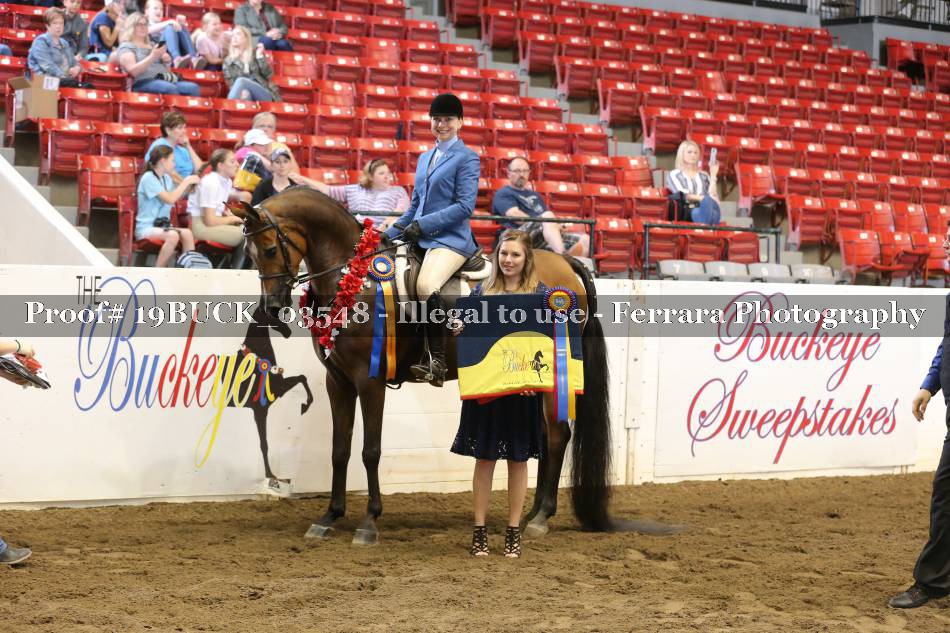 Proof 19BUCK_03548
