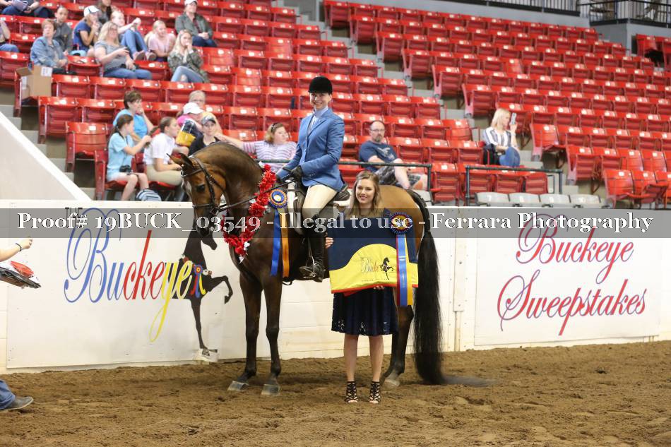 Proof 19BUCK_03549