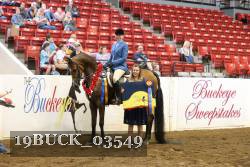 19BUCK_03549 proof