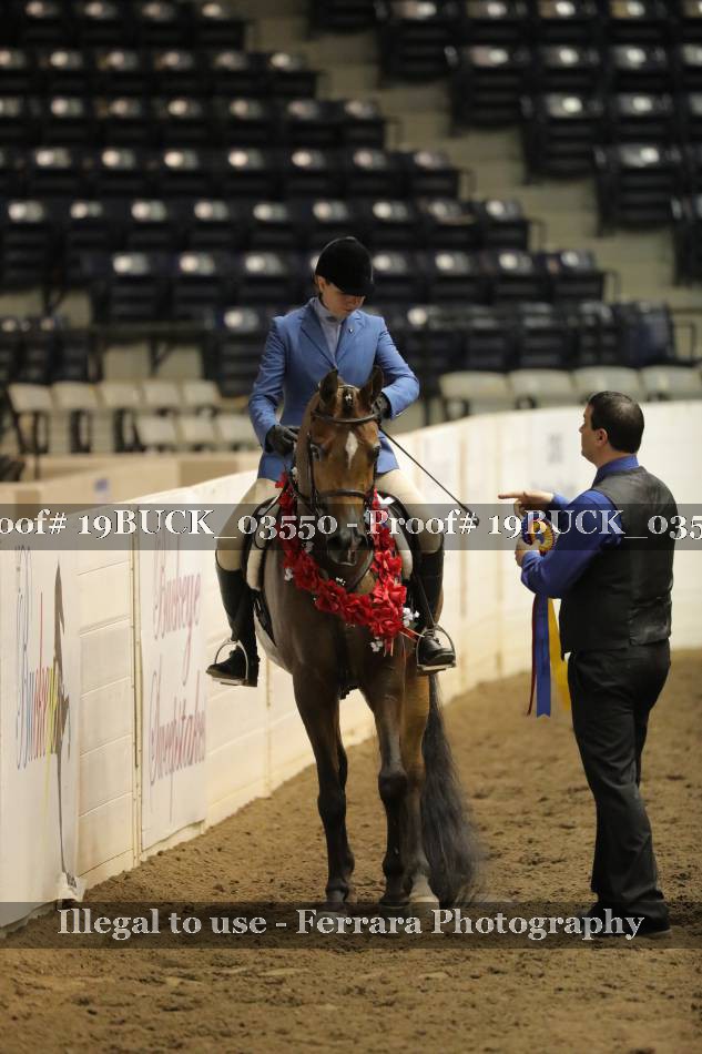 Proof 19BUCK_03550