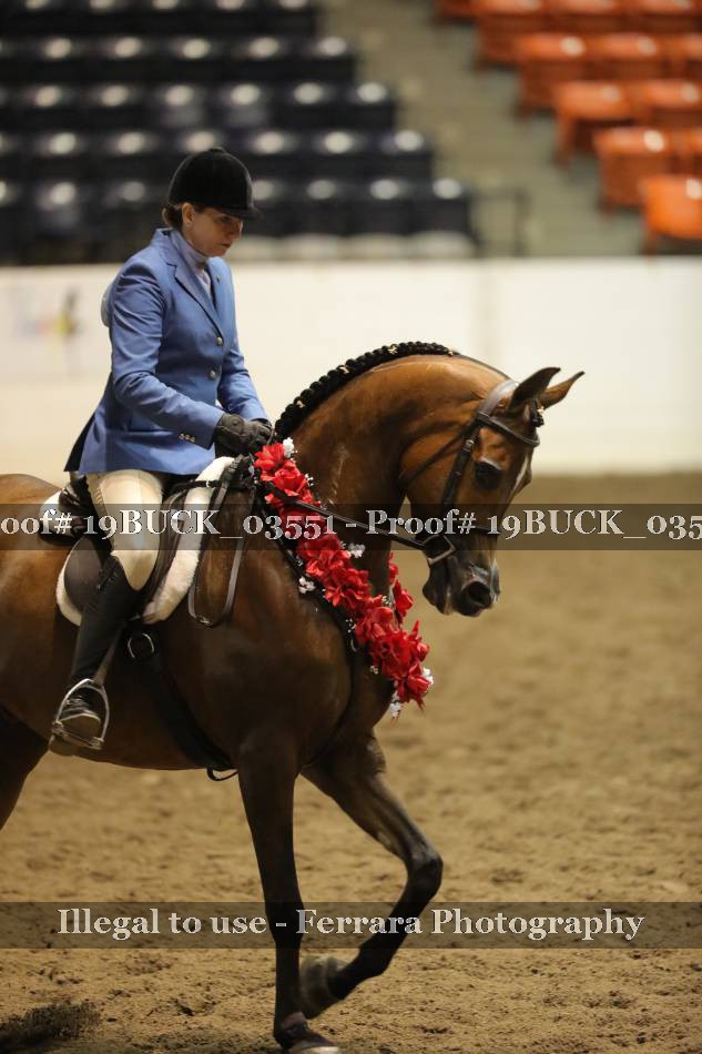 Proof 19BUCK_03551