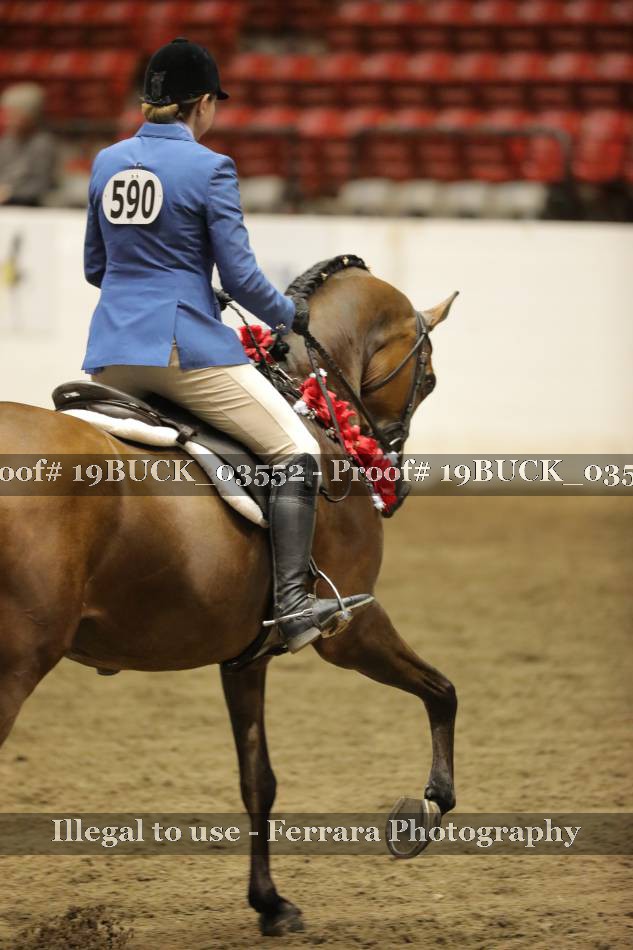 Proof 19BUCK_03552