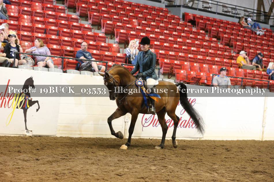 Proof 19BUCK_03553