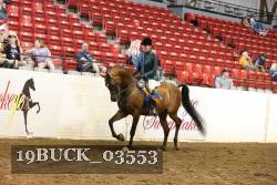 19BUCK_03553 proof