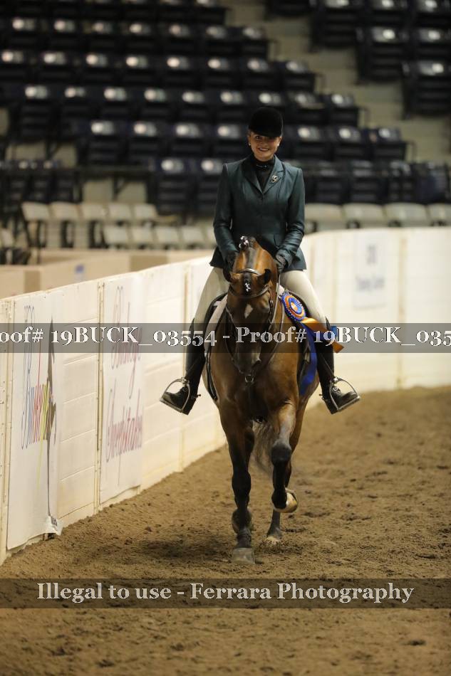 Proof 19BUCK_03554