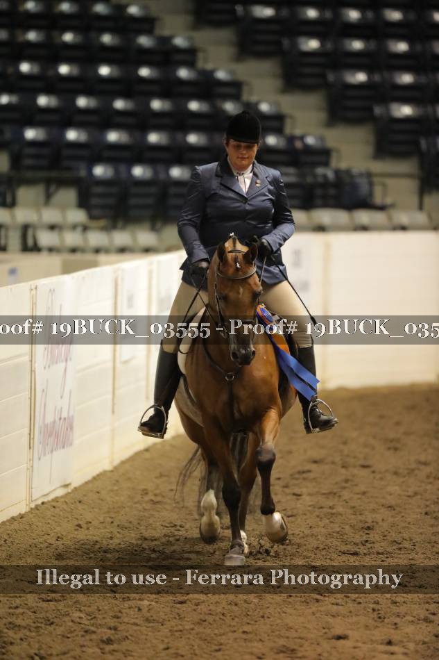 Proof 19BUCK_03555