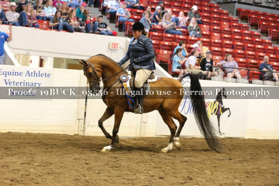 Proof 19BUCK_03556