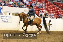 19BUCK_03556 proof