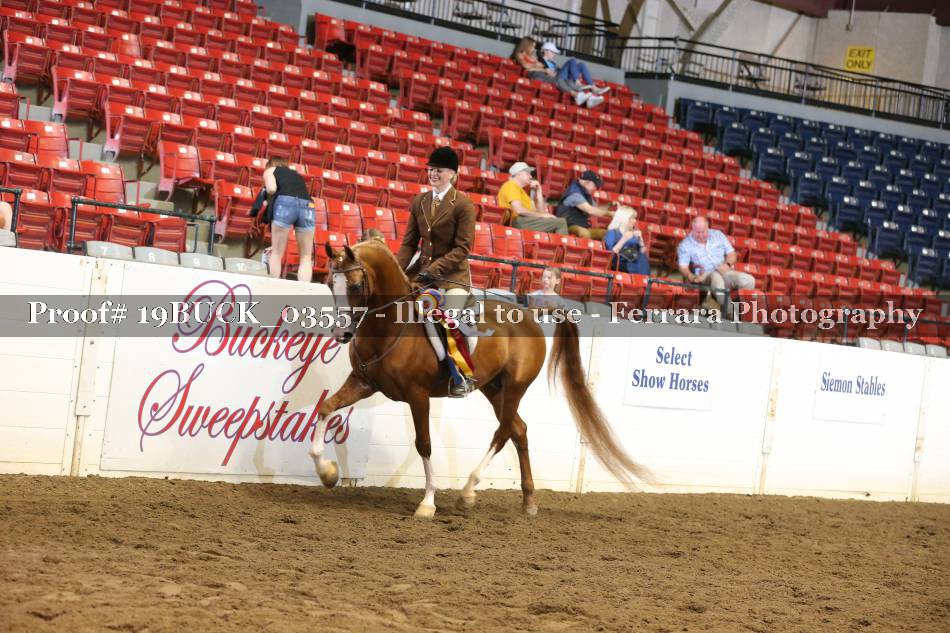 Proof 19BUCK_03557
