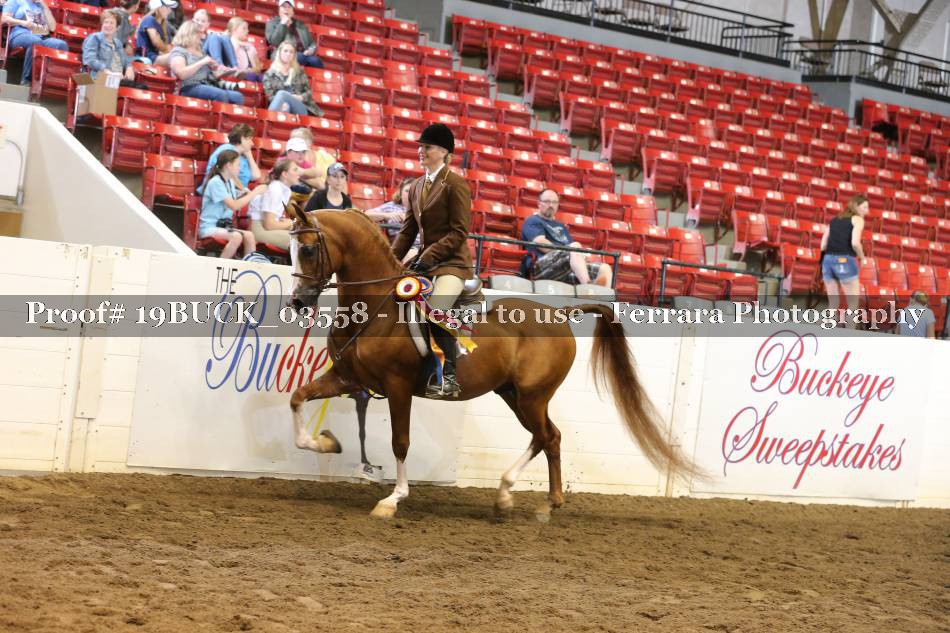 Proof 19BUCK_03558