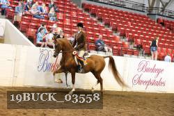 19BUCK_03558 proof
