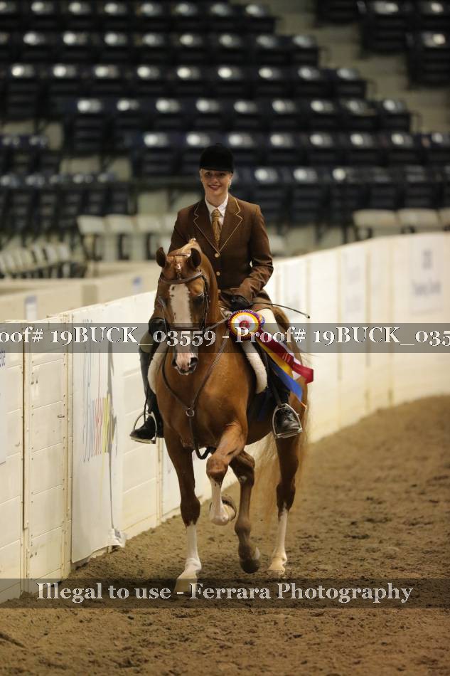 Proof 19BUCK_03559