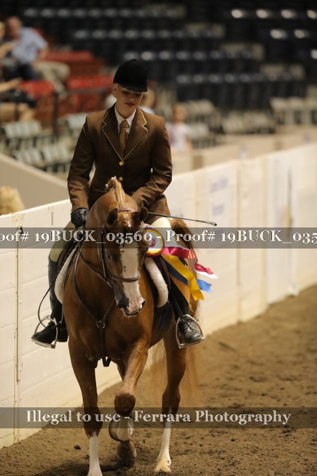 Proof 19BUCK_03560