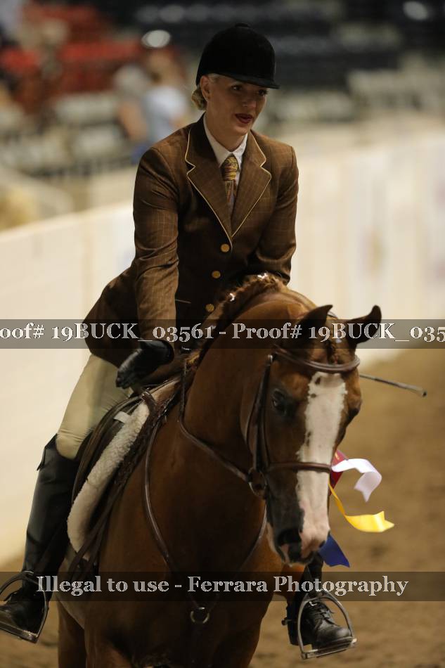 Proof 19BUCK_03561
