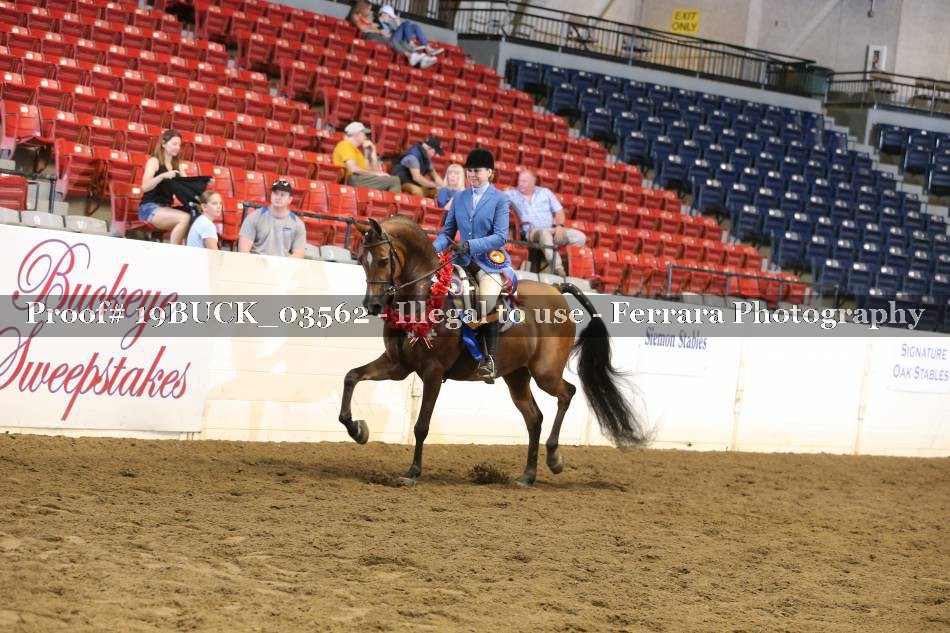 Proof 19BUCK_03562