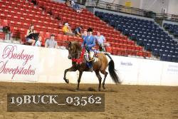 19BUCK_03562 proof