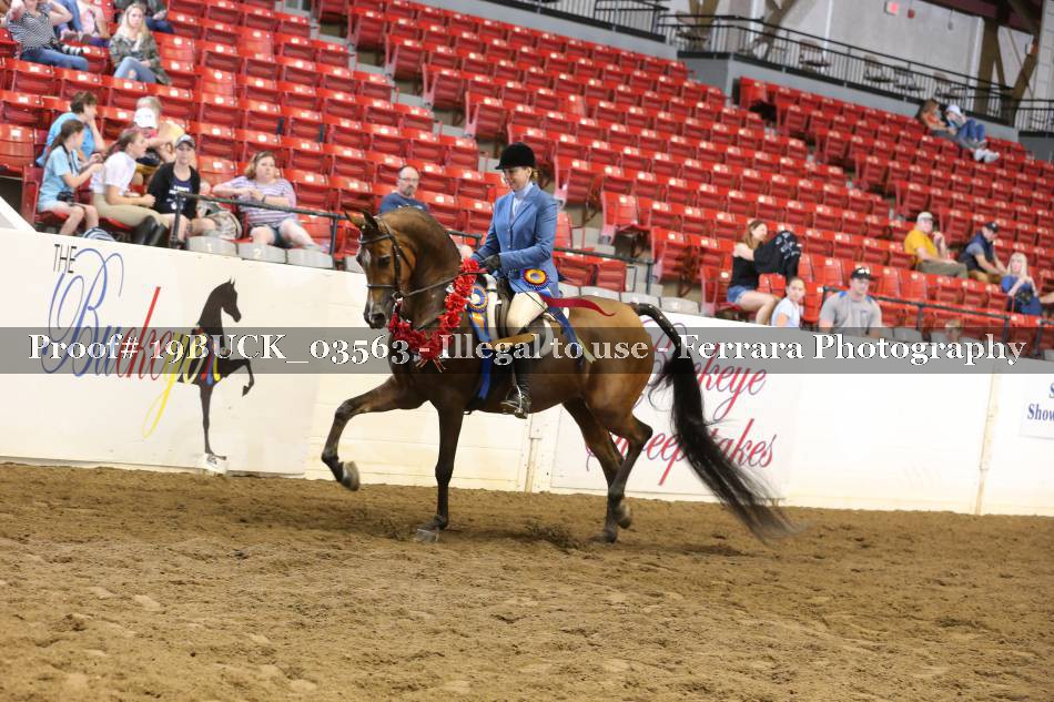 Proof 19BUCK_03563