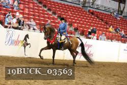 19BUCK_03563 proof