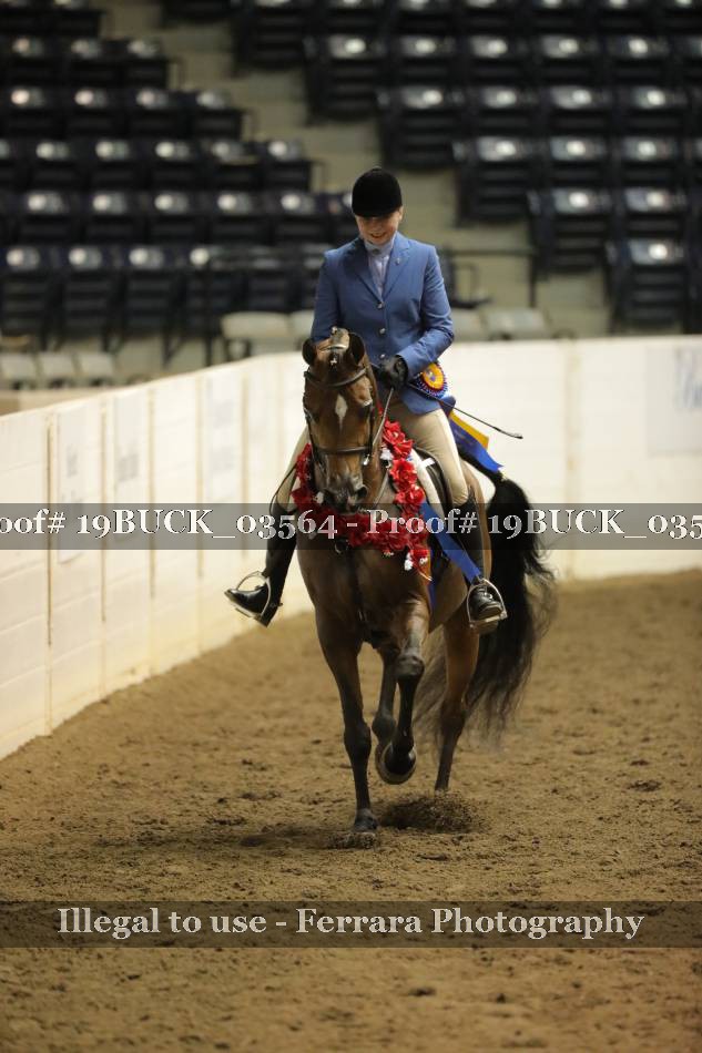Proof 19BUCK_03564
