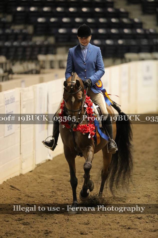 Proof 19BUCK_03565