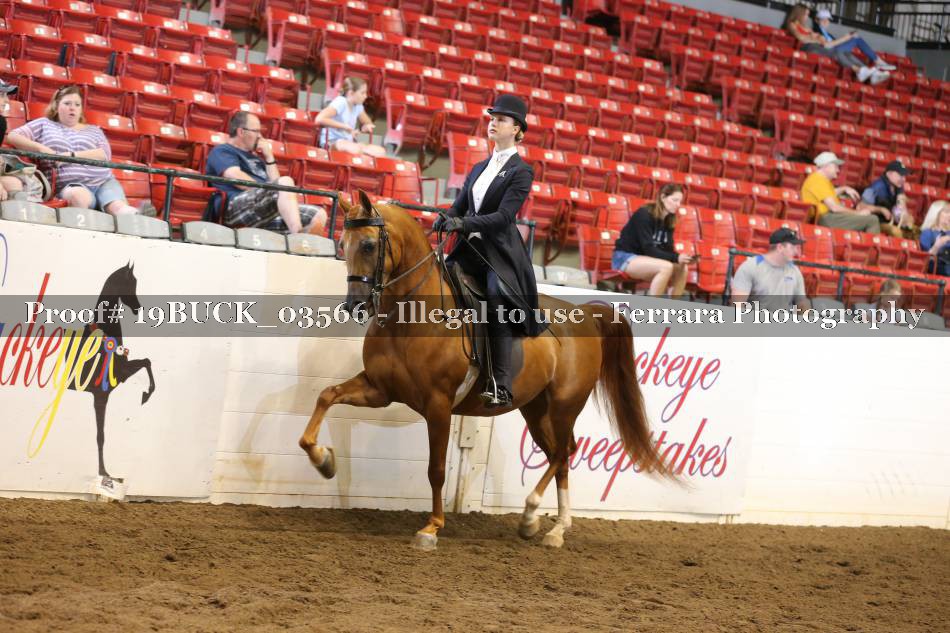 Proof 19BUCK_03566