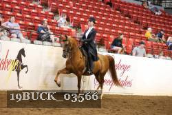 19BUCK_03566 proof