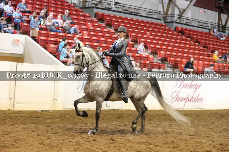 Proof 19BUCK_03567