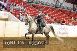 19BUCK_03567 proof