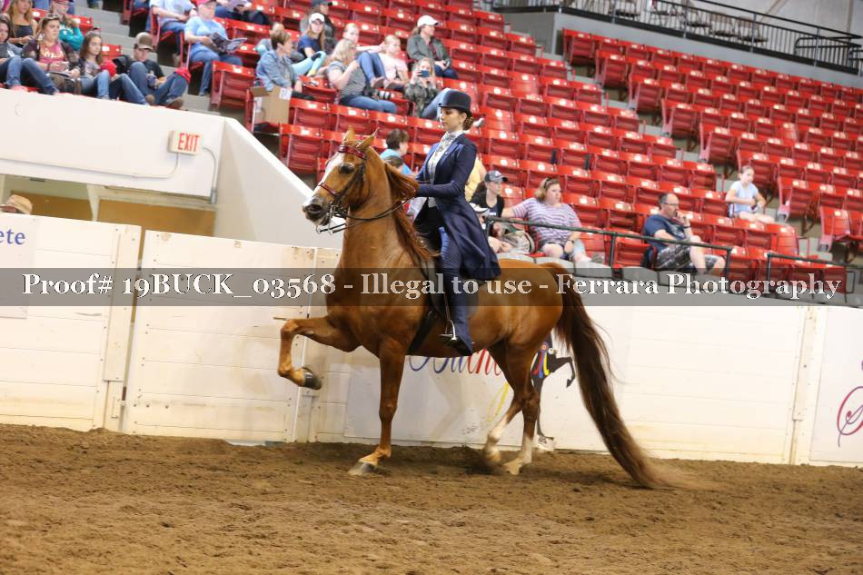 Proof 19BUCK_03568