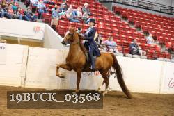 19BUCK_03568 proof