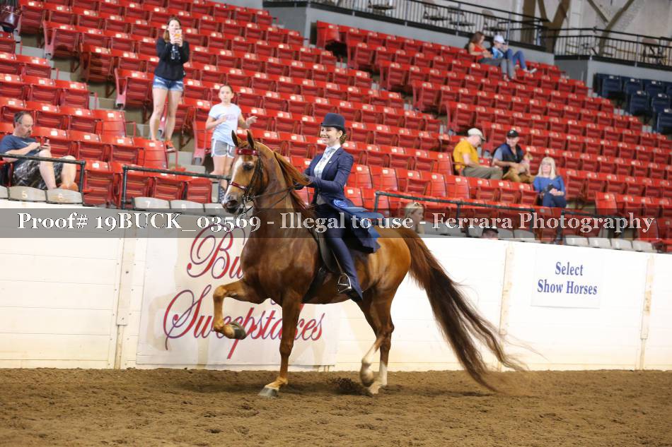 Proof 19BUCK_03569