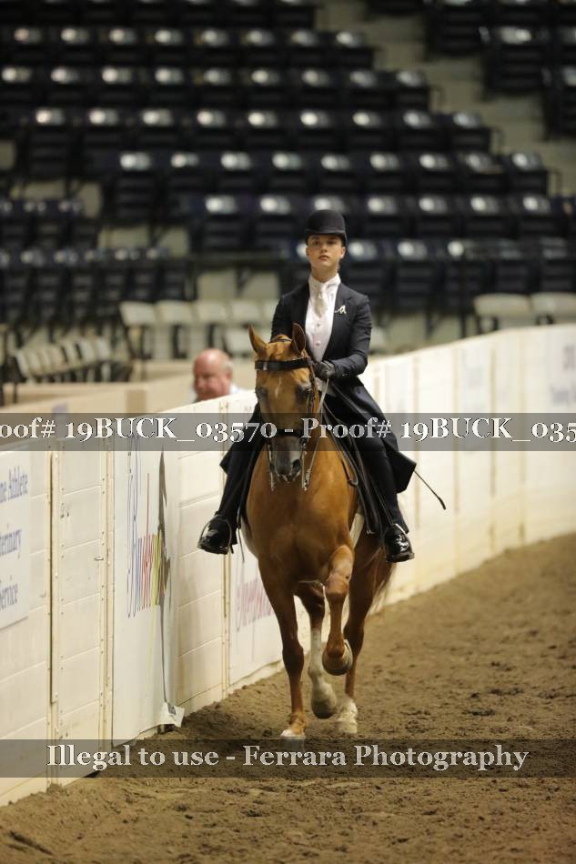 Proof 19BUCK_03570
